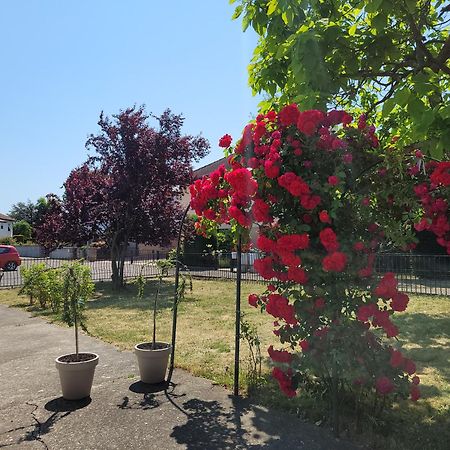 Au Petit Bonheur Daire Horbourg Oda fotoğraf