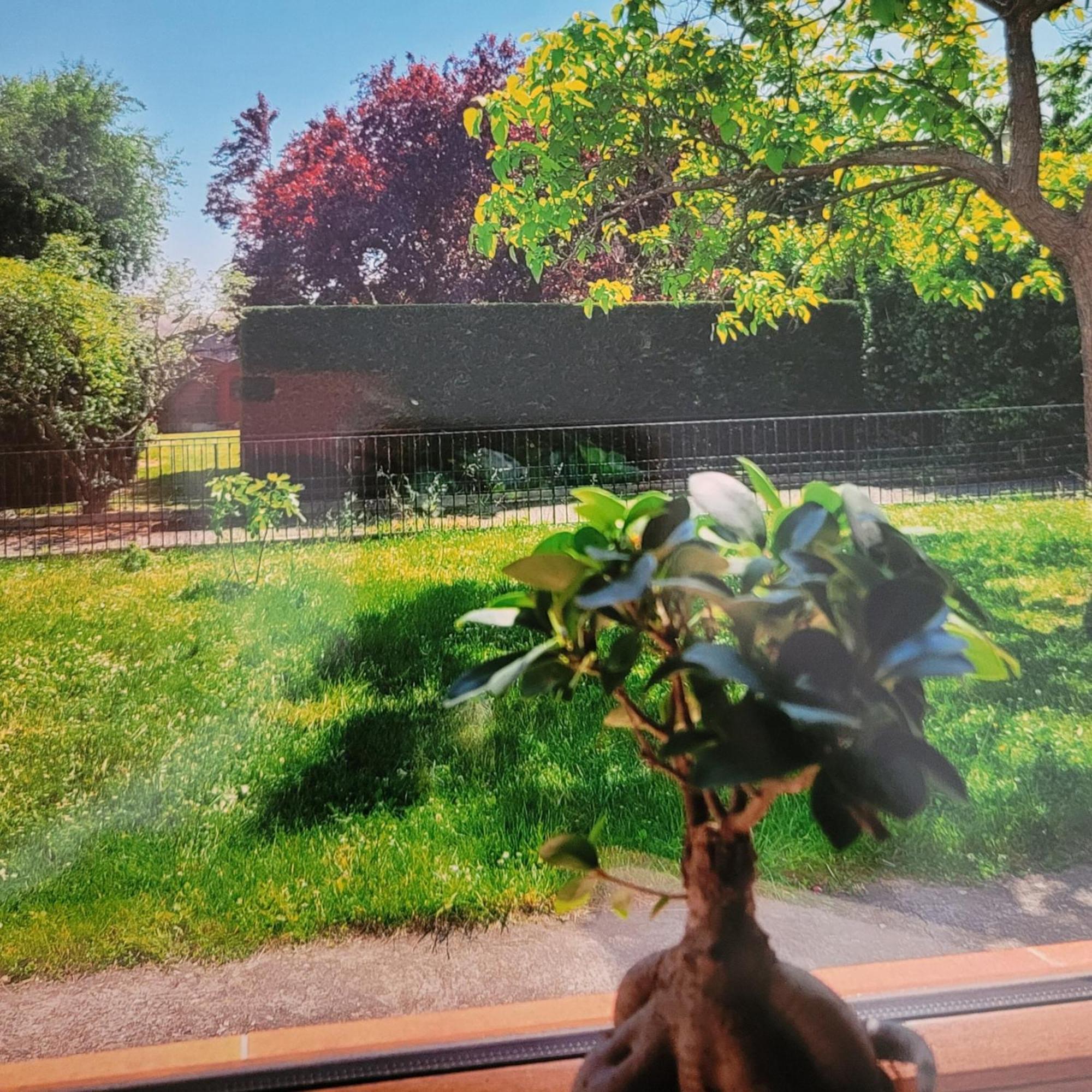 Au Petit Bonheur Daire Horbourg Oda fotoğraf